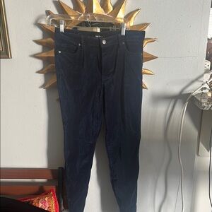 Dark Blue Velvet Pants